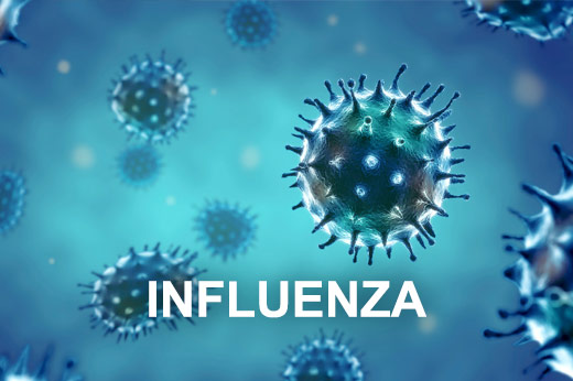 İnfluenza Testi